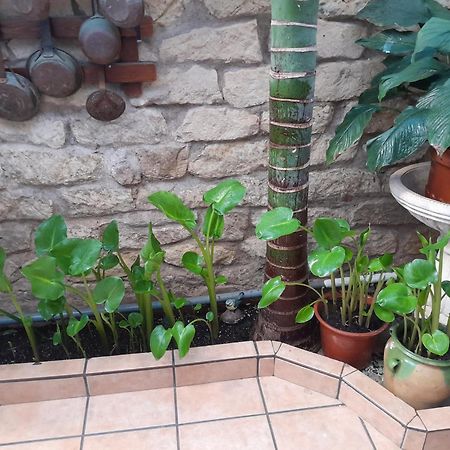 Pension Antonio Guesthouse Alicante Dış mekan fotoğraf